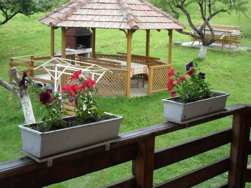 Pensiunea Laura Bran (Brasov) Quarto foto